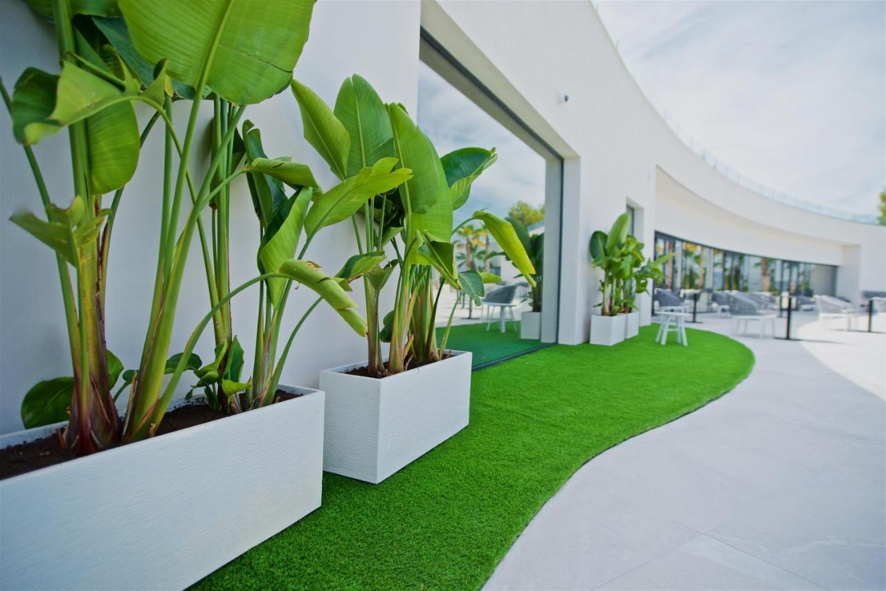 Syncrosfera Fitness & Spa Health Hotel Boutique Pedreguer Exteriér fotografie